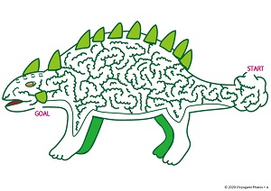 Ankylosaurus